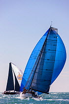 Sail boats race with spinnakers out during the 2013 Key West Race Week, Florida. All non-editorial uses must be cleared individually.