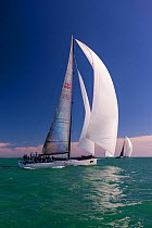 Sail boats race in tropical waters with spinnakers out during the 2013 Key West Race Week, Florida. All non-editorial uses must be cleared individually.