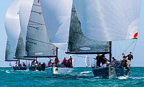 Four sailing boats racing under spinnaker during the 2013 Key West Race Week, Florida. All non-editorial uses must be cleared individually.