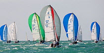 Sail boats race with spinnakers out in choppy waters during Key West Race Week 2013, Florida. All non-editorial uses must be cleared individually.