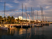 Sail boats moored in harbor at dusk during 2013 Key West Race Week, Florida. All non-editorial uses must be cleared individually.