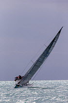 Sailboat racing during 2013 Key West Race Week, Florida. All non-editorial uses must be cleared individually.