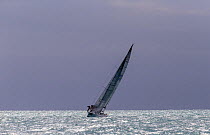 Sailboat racing during 2013 Key West Race Week, Florida. All non-editorial uses must be cleared individually.