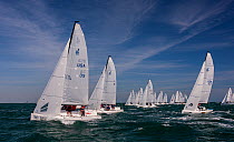 Cluster of white sails racing during 2013 Key West Race Week, Florida. All non-editorial uses must be cleared individually.