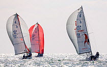Sail boats racing with spinnakers out during Key West Race Week 2013, Florida. All non-editorial uses must be cleared individually.