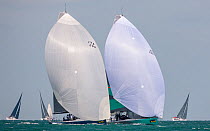 Boats racing under spinnaker during 2013 Key West Race Week, Florida. All non-editorial uses must be cleared individually.