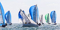 Boats race with spinnakers out during Key West Race Week 2013, Florida. All non-editorial uses must be cleared individually.