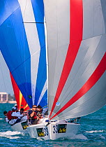 Boats racing with spinnakers out in Key West Race Week 2013, Florida. All non-editorial uses must be cleared individually.