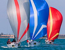 Three boats with spinnakers out racing in Key West Race Week 2013, Florida. All non-editorial uses must be cleared individually.