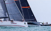 Catamaran 'Shockwave' races in the Key West Race Week, Florida 2013. All non-editorial uses must be cleared individually.