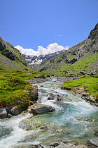 River d'Estaube near Lac des Gloriettes, Pyrenees National Park, Hautes Pyrenees, France, June 2013.