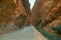 The Dades Gorge road passing between steep rock faces next to river, Morocco, March 2011.