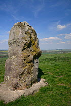 Sarsen stone megalith on the Ridgeway near Barbury Castle, Marlborough Downs, Wiltshire, UK, May.