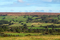 View of countryside with farm buildings, grazing pasture and high moorland in distance, North York Moors National Park, England, UK, September 2013.