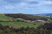 View of countryside with farm buildings, grazing pasture and high moorland in distance, North York Moors National Park, England, UK, September 2013.