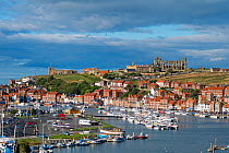 View of Whitby harbour showing the Church of St. Mary and Whitby Abbey, Yorkshire, England, UK, September 2013.