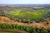 Pantanal landscape during dry season, aerial view, Brazil, August 2010.
