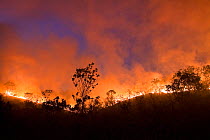 Fire blazing in Chapada dos Veadeiros National Park, Cerrado region, Goias, Brazil. Fires at the peak of the dry season, September.