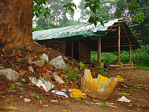 Non biodegradable rubbish in abandoned forest camp. Lokoue, Odzala-Kokoua National Park, Republic of Congo, May 2004.