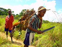 Boy with knife carrying bushmeat to market, Black-fronted Duiker (Cephalophus nigrifrons). Mbomo, Odzala-Kokoua National Park, Republic of Congo.