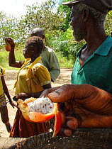 Vendor at market stall selling forest fruit, possibly Ruthalicia longipes. Mbomo, near Odzala-Kokoua National Park, Republic of Congo