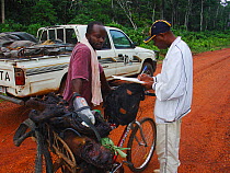 Man on bicycle with smoked Red river hog meat (Potamochoerus porcus) talking to ecoguard monitoring bushmeat traffic on Ouesso - Makoua highway near Odzala-Kokoua National Park, Republic of Congo, May...