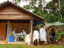 People in biohazard suits analysing blood samples to find the reservoir host of Ebola virus. Ebola Virus Disease in Mbomo killed 128 people in 2003 and in 2005 killed 95% of Odzala National Park's Wes...
