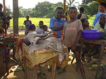Blue Duiker (Cephalophus monticola) meat for sale at market, Mbomo, Odzala-Kokoua National Park, Republic of Congo, May 2005.