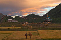Landscape with buddhist shrine, Tibet, Qinghai-Tibetan Plateau, China, August 2006.