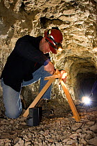 Biologist installing a motion sensor in the abandoned Smoking Dump gold mine to help scientists understand why sensitive bat species like Townsend big-eared bats (Corynorhinus townsendii) use the mine...