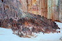 Ankarokaroka canyon, viewed from rim of the canyon, in Ankarafantsika NP, Madagascar, June.