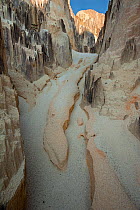 Ankarokaroka canyon, viewed from rim of the canyon, in Ankarafantsika NP, Madagascar, June.