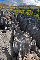 Tsings - karst limestone formations, Ankarana NP, Madagascar, June 2013.