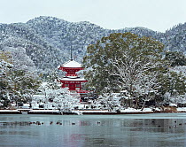 Daikaku Ji Temple in snow with Osawa Pond, Kyoto, Japan, January 2011.