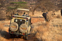 Tourists photographing African elephants (Loxodonta africana) in Samburu National Reserve, Kenya, Africa, September 2013.