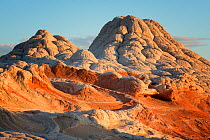 Sandstone formations in White Pockets, Vermillion Cliffs National Monument, Arizona, USA, March.