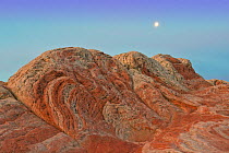 Sandstone formations in White Pockets, Vermillion Cliffs National Monument, Arizona, USA, March.