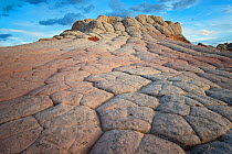 Sandstone formations in White Pockets, Vermillion Cliffs National Monument, Arizona, USA, March 2013.