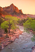 The Watchman and Virgin River at sunset, Zion National Park, Utah, USA, April 2013.