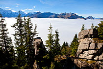View west from near Schynigge Platte over a cloud sea covering the Lauterbrunnen valley, The Bernese Oberland alpine region, Switzerland, October 2013.