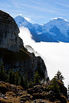 The Bernese Oberland alpine region, Switzerland. Looking north from near Schynigge Platte over a cloud sea covering the Grindelwald valley. Mount Tuba (1917m) in foreground and Monch and Jungfrau in b...