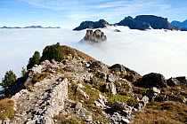 Looking east from near Schynigge Platte over a cloud sea towards Loucherhorn (2230m), Bernese Oberland alpine region, Switzerland. October 2013.