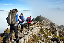 Walkers on ridge  heading east from near Schynigge Platte, Bernese Oberland alpine region, Switzerland. October 2013.