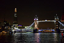 Tower Bridge, the Shard and City Hall at night, viewed from the River Thames, London,  September 2013.