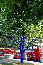 Blue trees of London painted by Konstantin Dimopoulos, an Australian artist, to highlight the deforestation of the World. Close to St Paul&#39;s Cathedral, City of London, England, UK, July 2013.