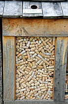 Cork recycling box - wooded box full of recycled corks, Surrey, England, UK, August 2008.