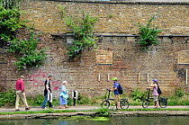 Leisure cyclists giving way to people walking on the Regent&#39;s Canal tow-path, Kings Cross, London Borough of Camden, England, UK, August 2013.