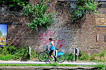 Female cyclist on a Barclays Cycle negotiating a chicane installed on the Regent&#39;s Canal tow-path to slow down cyclists, Kings Cross, London Borough of Camden, England, UK, August 2013.