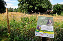 London House Sparrow Parks Project sign showing an area of Laycock Street Park in Highbury fenced in and planted with wild flowers as an experiment by the RSPB and Islington Council to encourage Sparr...