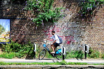 Male cyclist on a Barclay&#39;s Cycle negotiating a chicane installed on the Regent&#39;s Canal tow-path to slow down cyclists, Kings Cross, London Borough of Camden, England, UK, August 2013.